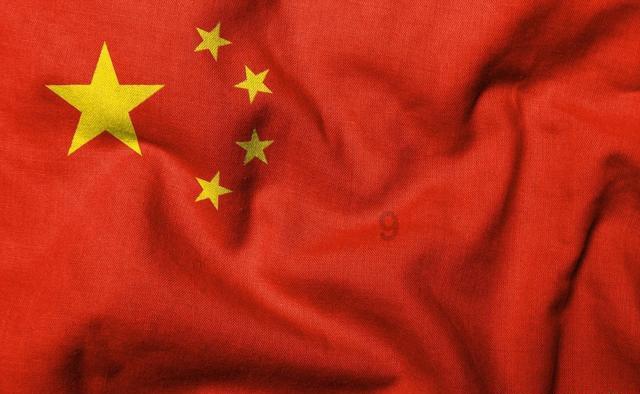 逃离金刚鹦鹉森林