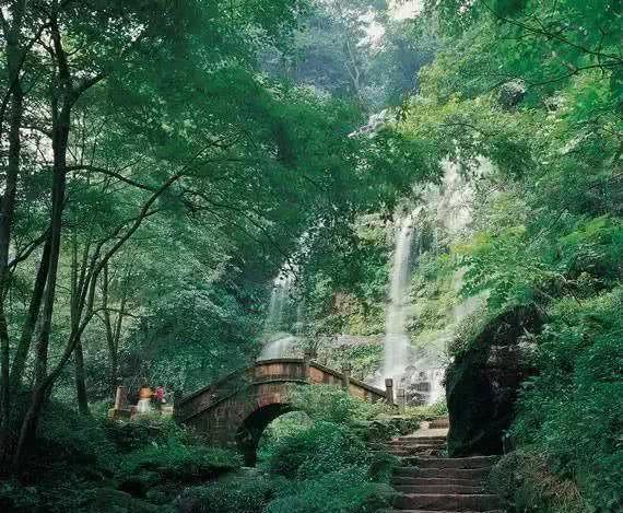 热烈祝贺迈克飞人四川分公司盛大开业